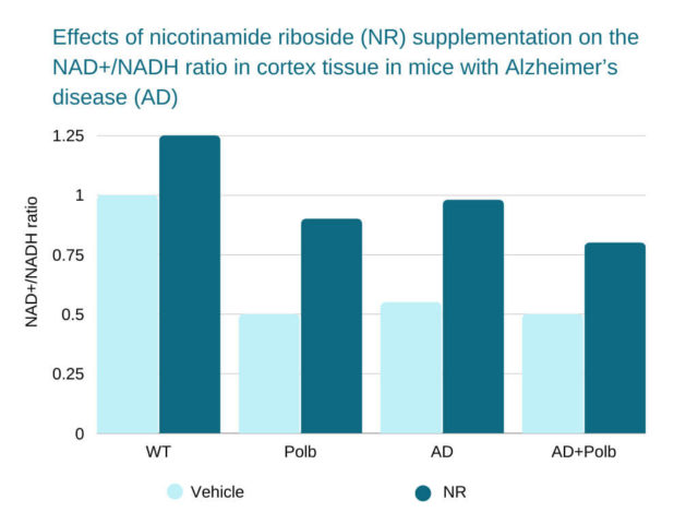 krebs cycle Effects of nicotinamide riboside (NR) supplementation on the NAD+/NADH ratio in cortex tissue in mice with Alzheimer’s disease (AD)