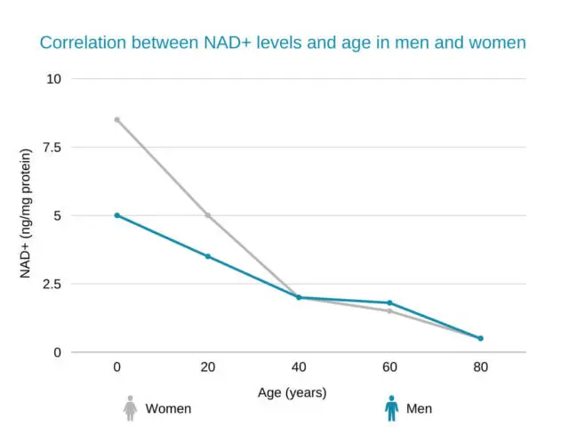 What Causes NAD Levels To Drop