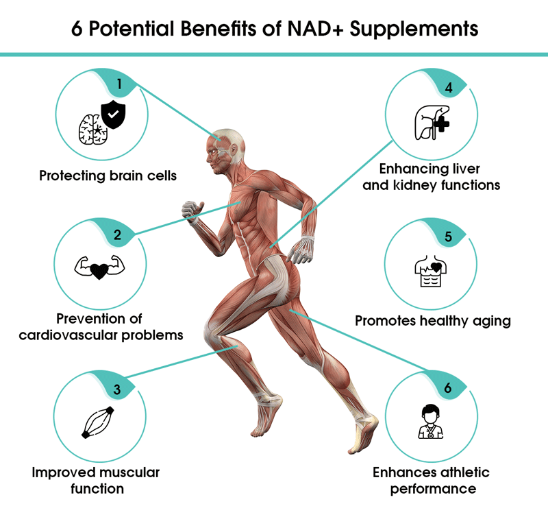 nad supplement