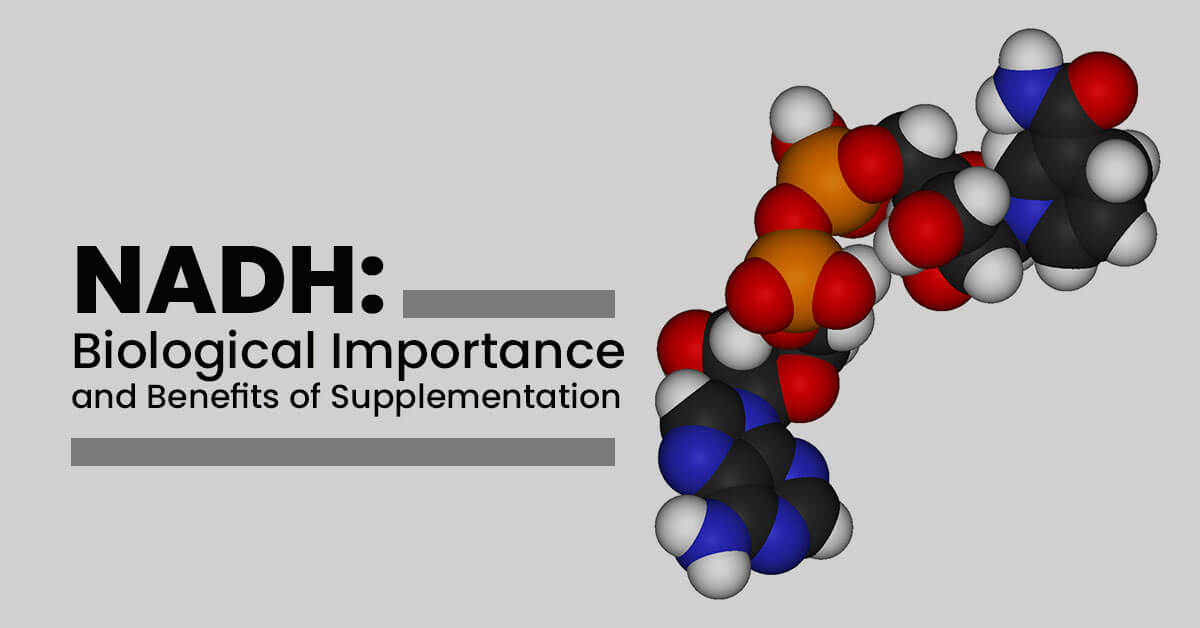 NADH: Biological Importance and Benefits of Supplementation