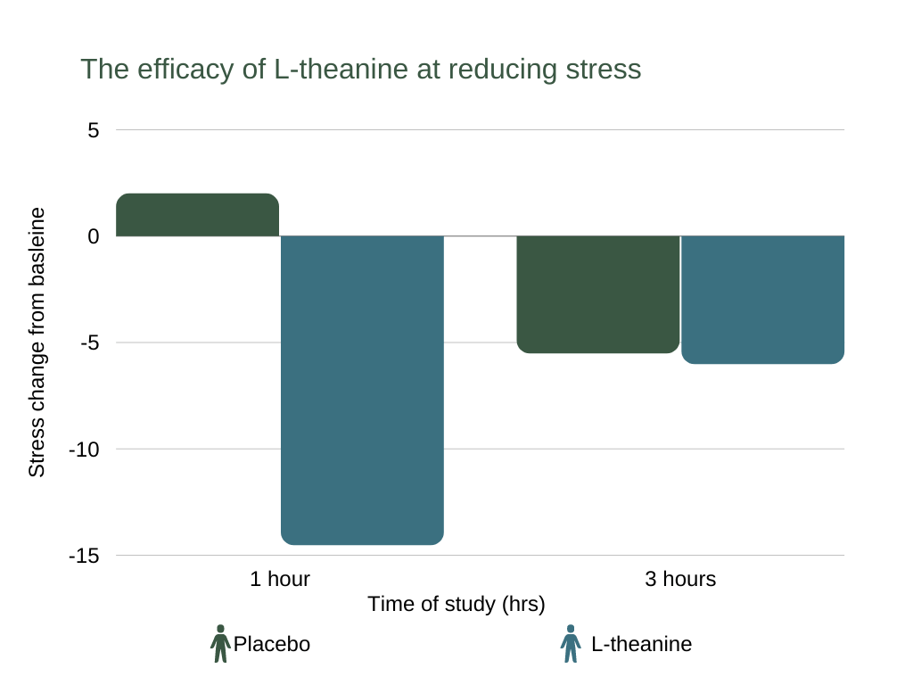 hunter focus review The efficacy of L-theanine at reducing stress