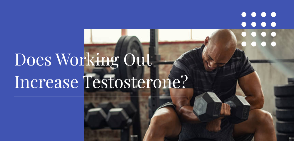 https://www.myelin.org/wp-content/uploads/2022/03/Does-Working-Out-Increase-Testosterone.png