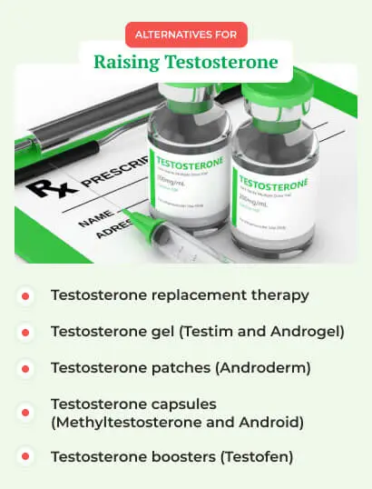 alternatives for raising testosterone